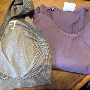 Gray  Sports Bra and Purple long sleeve T-Shirt